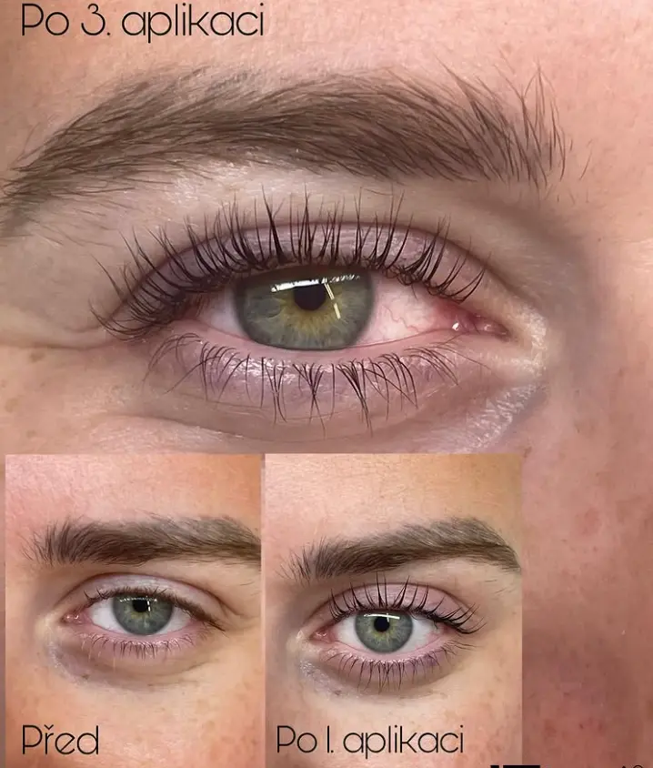 Ukázka řas - Salon Art Ego